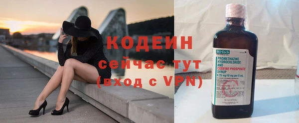 хмурый Аша