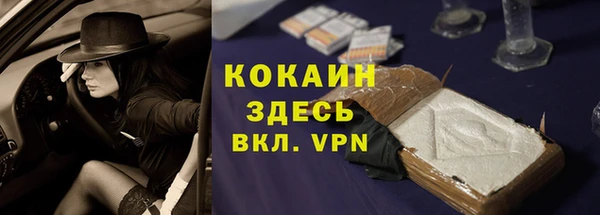 дмт Осинники