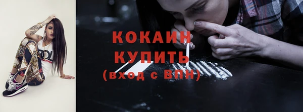дмт Осинники
