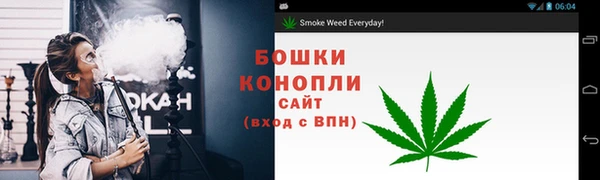 дмт Осинники