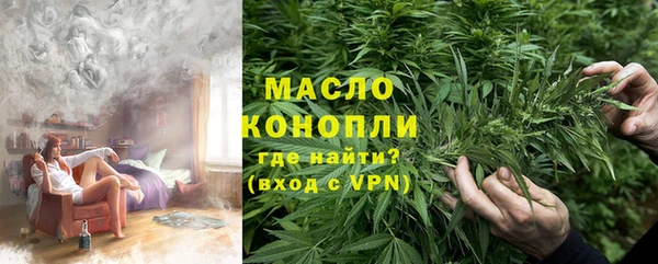 дмт Осинники