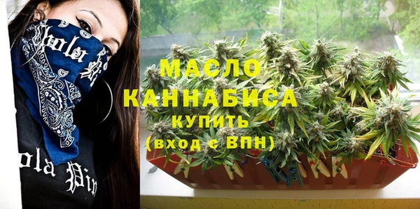 дмт Осинники