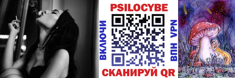 где можно купить   Баксан  Псилоцибиновые грибы Magic Shrooms 