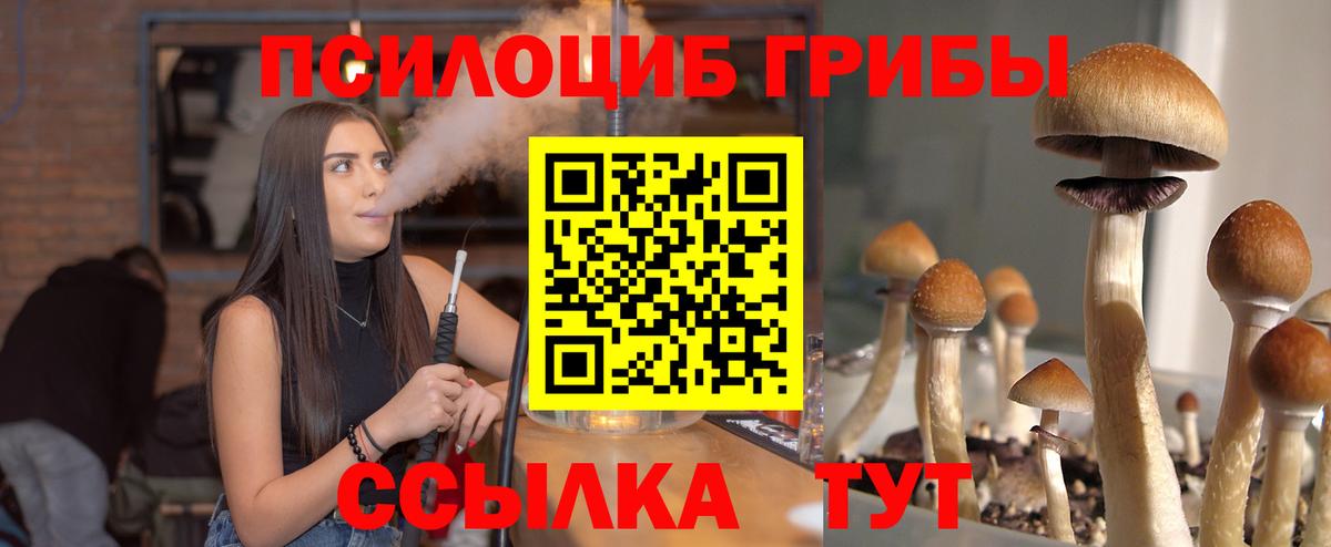 Галлюциногенные грибы Psilocybe Баксан